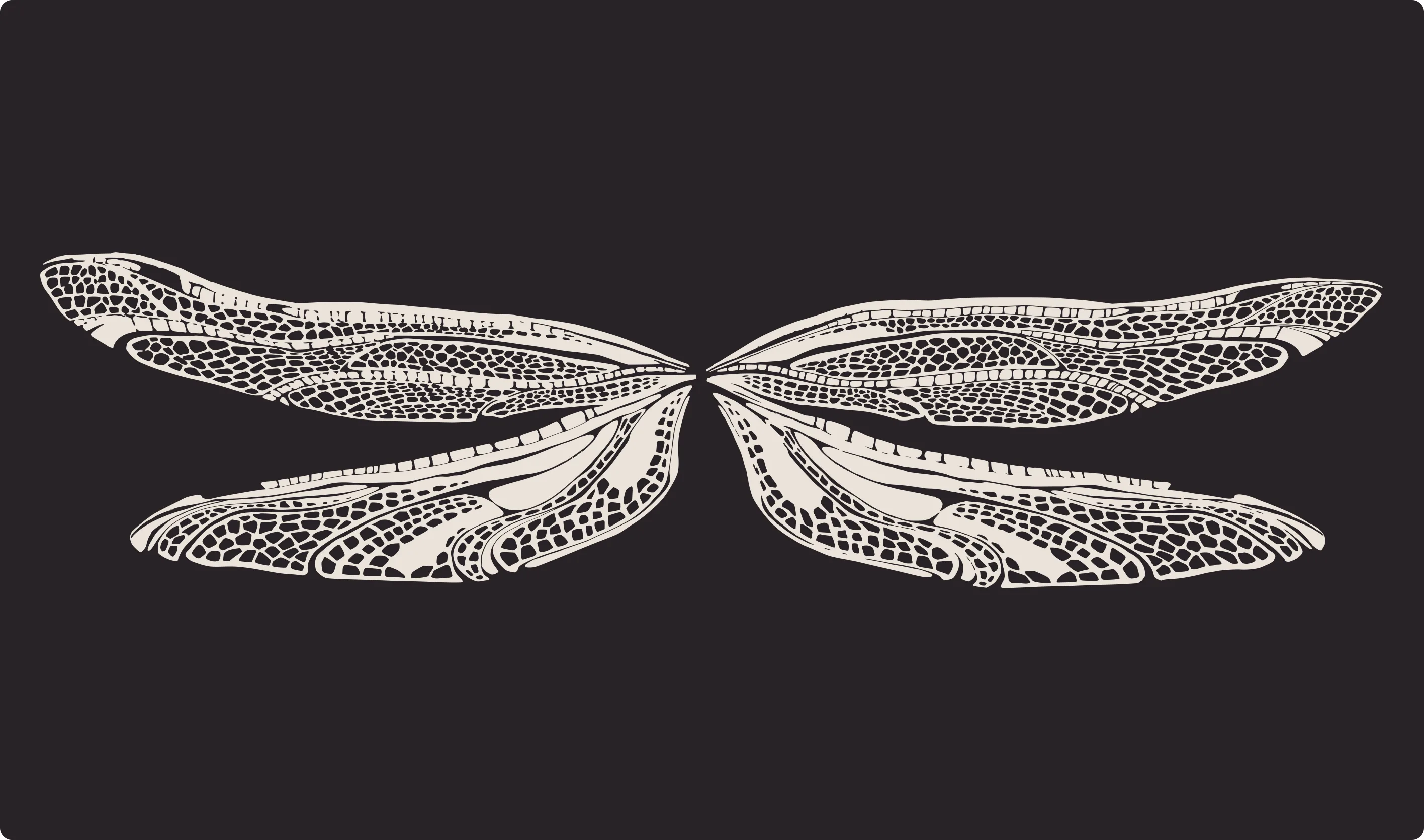 Two pairs of dragonfly wings cut in white ink on near-black, every vein and cell drawn by hand